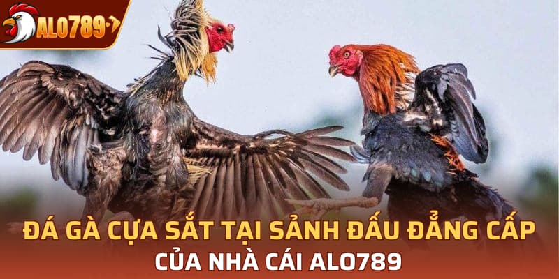 đá gà cựa sắt