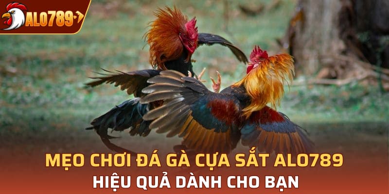 Mẹo chơi đá gà cựa sắt Alo789 hiệu quả dành cho bạn