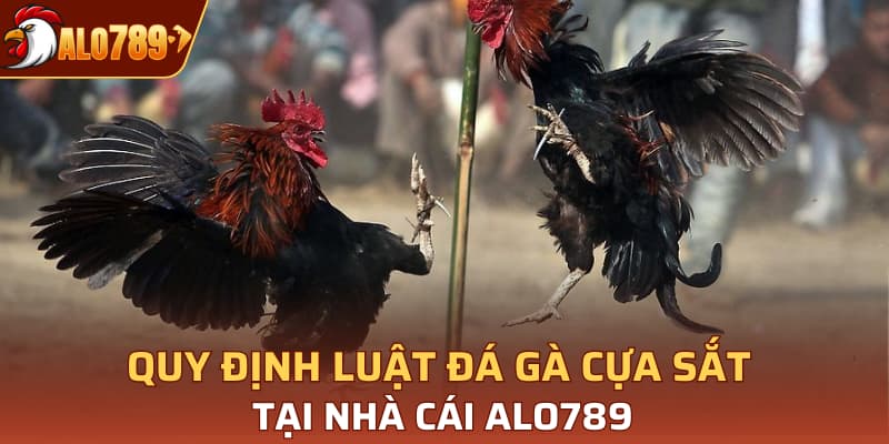 Quy định luật đá gà cựa sắt tại nhà cái Alo789