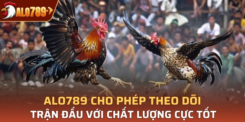 Alo789 cho phép theo dõi trận đấu với chất lượng cực 