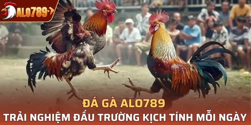 Đá gà Alo789