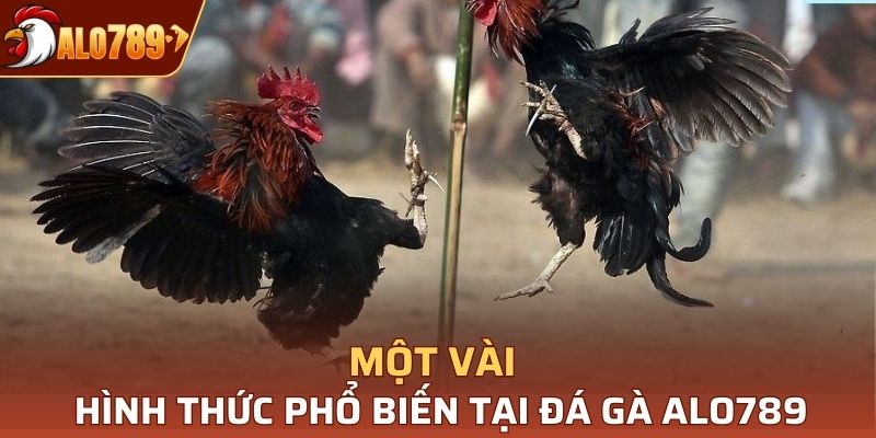Một số hình thức phổ biến tại đá gà Alo789