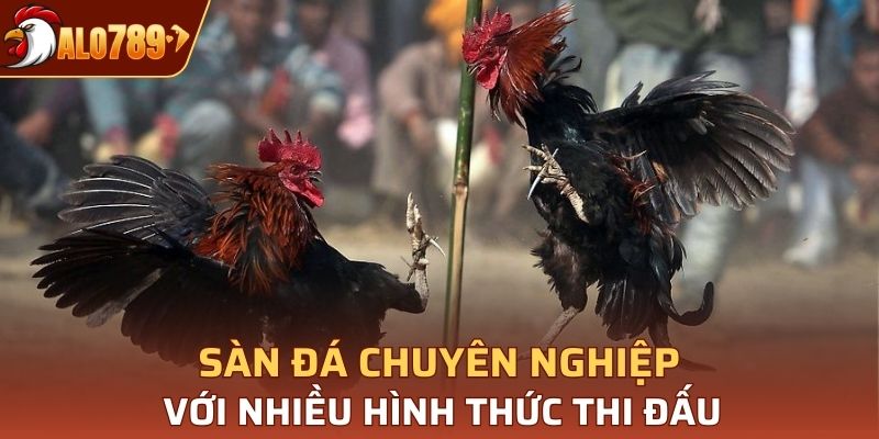 Sàn đá chuyên nghiệp với nhiều hình thức thi đấu