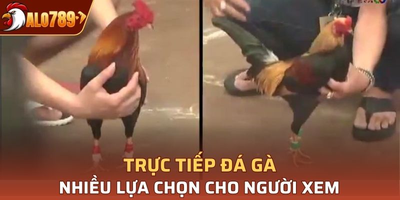 Có nhiều trận đấu với đa dạng thể loại cho bạn lựa chọn